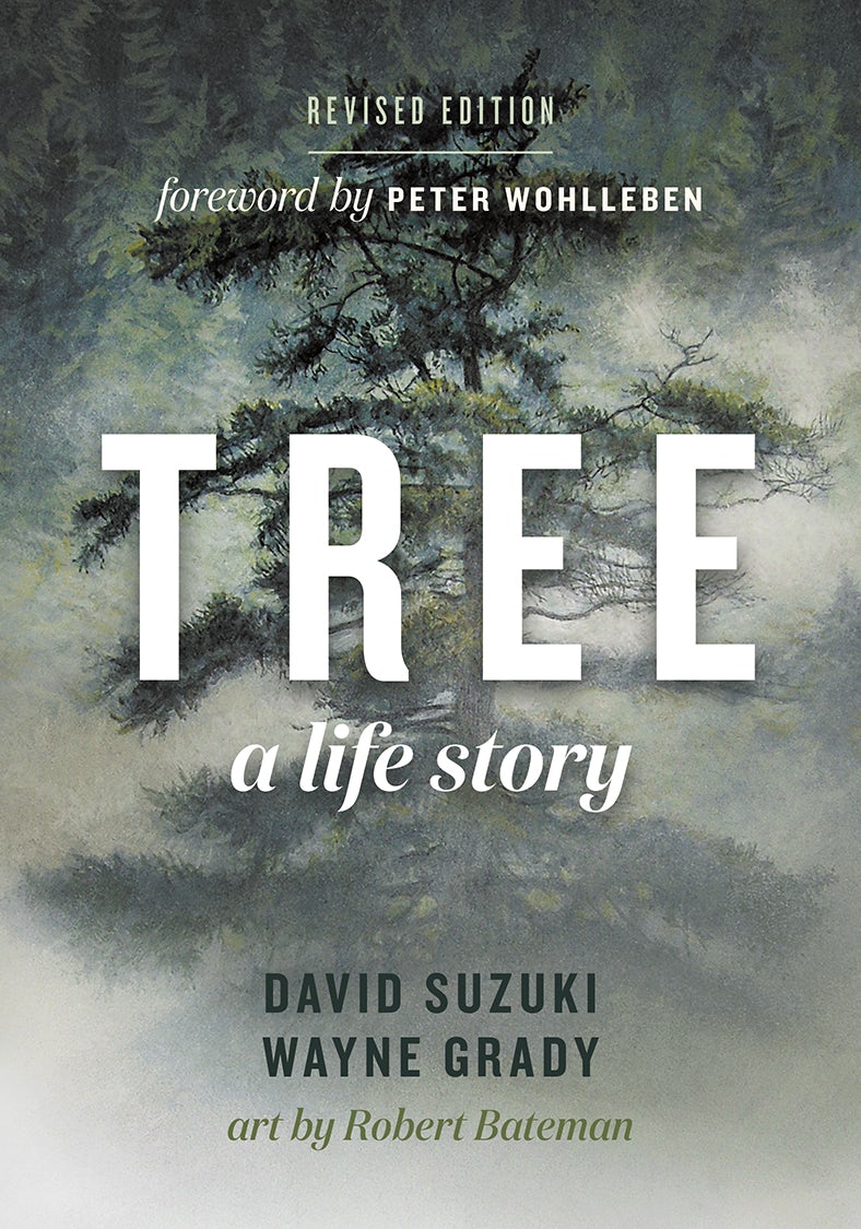 Book cover image for Tree ISBN: 9781771644198